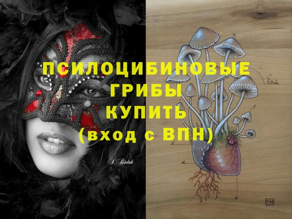 прущая мука Абаза