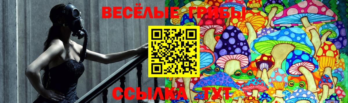 Псилоцибиновые грибы мицелий Воронеж