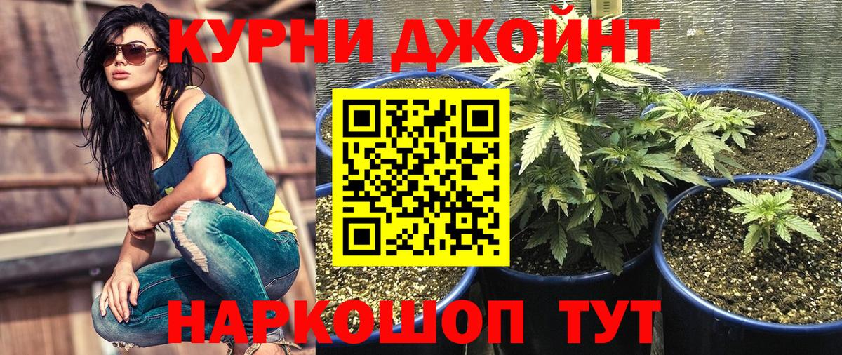 Марихуана THC 21%  Каннабис White Widow  Воронеж  Вход с VPN  Бошки Шишки Bruce Banner  Марихуана MAZAR 